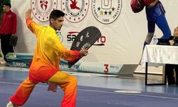 Wushu Türkiye Şampiyonası Sakarya’da Nefes Kesti