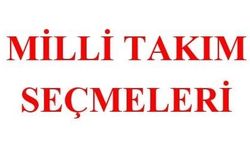 Petank Milli Takım Seçmeleri Temmuz’da Kırıkkale’de Yapılacak