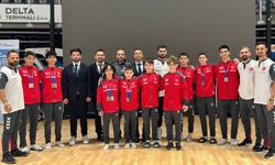 Cimnastikte Küçük, Yıldız ve Genç Erkeklerden Gümüş Madalya