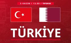 Erkek Voleybol Milli Takımımız Sahada: Rakip Katar!