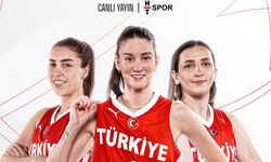 Potanın Perileri Nijerya Karşısında Parkede