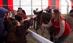 Özel Çocuklar 3 Aralık’ta Atla Terapiyle Buluştu
