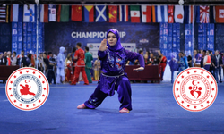 Milli Wushucuların 2025’teki Madalya Başarısı