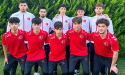 U17 Dünya Güreş Şampiyonası'nda Türkiye Sahne Alacak