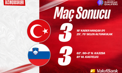 Türkiye-Slovenya Maçı İstanbul'da Sona Erdi