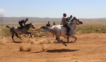 Karlıova’da geleneksel at yarışlarına yoğun ilgi