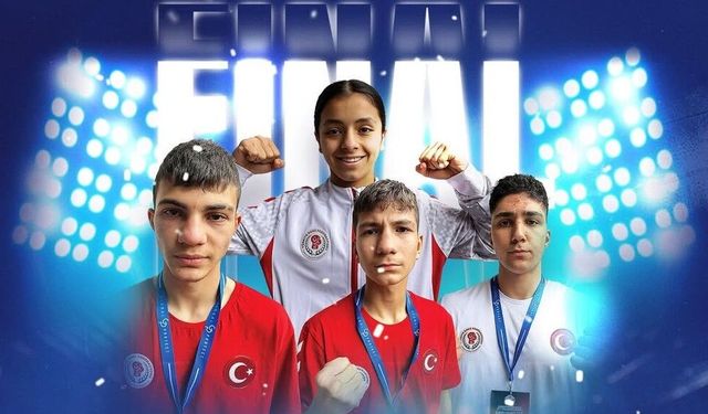U17 Avrupa Boks Şampiyonası’nda Millilerden 4 Final, 8 Bronz