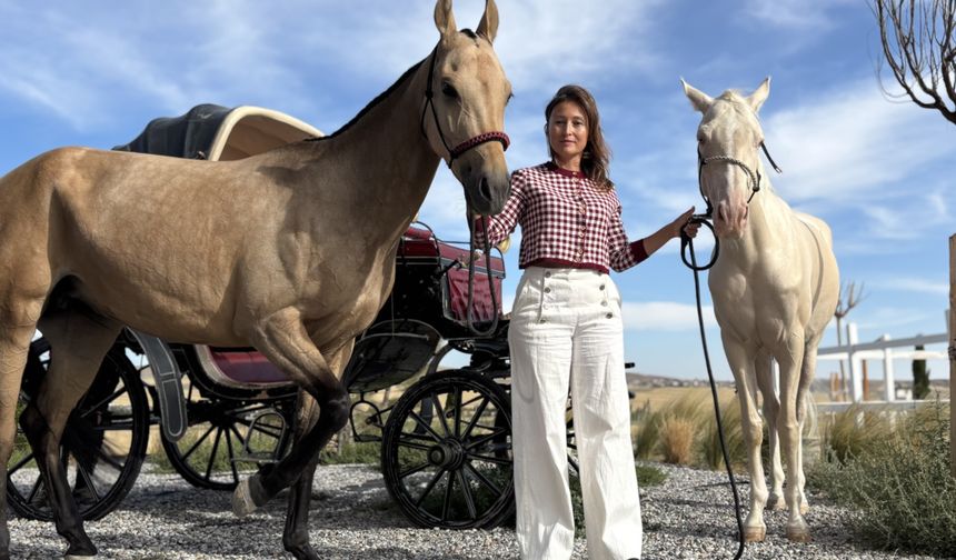 Ahal Teke atlarıyla sporcu yetiştiriyor: Ankara’da çiftlik